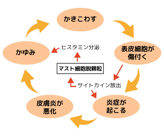 薬剤を瞬時に微細な氷の針へと変化させます。